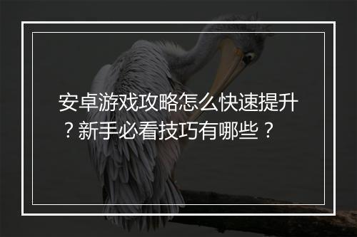 安卓游戏攻略怎么快速提升？新手必看技巧有哪些？