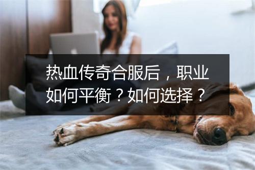 热血传奇合服后，职业如何平衡？如何选择？