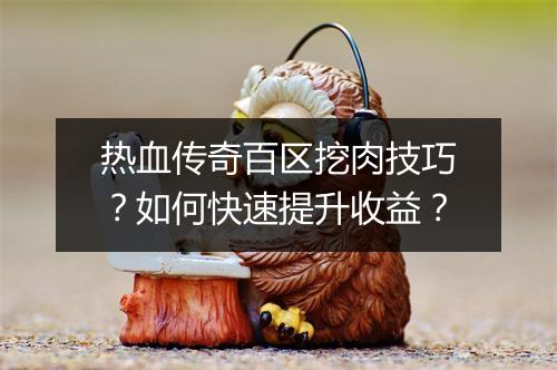 热血传奇百区挖肉技巧？如何快速提升收益？