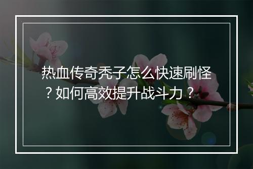 热血传奇秃子怎么快速刷怪？如何高效提升战斗力？