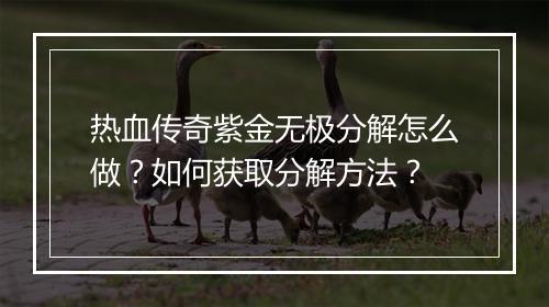 热血传奇紫金无极分解怎么做？如何获取分解方法？
