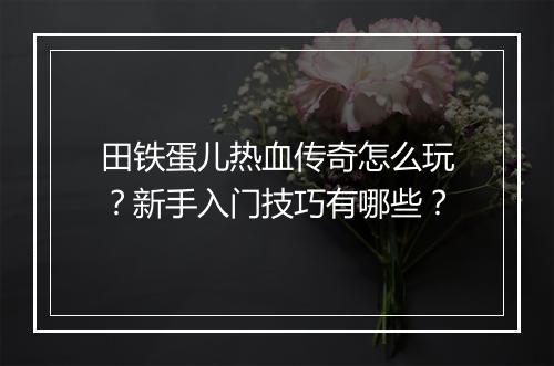 田铁蛋儿热血传奇怎么玩？新手入门技巧有哪些？