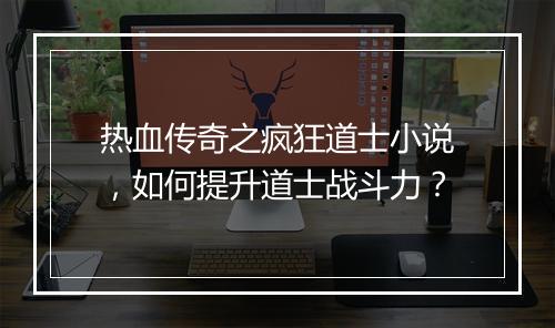 热血传奇之疯狂道士小说，如何提升道士战斗力？