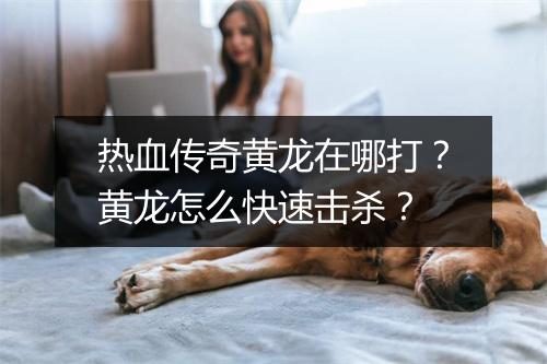 热血传奇黄龙在哪打？黄龙怎么快速击杀？