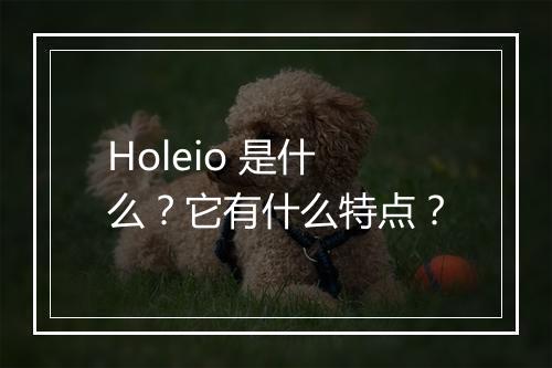 Holeio 是什么？它有什么特点？