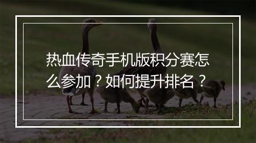 热血传奇手机版积分赛怎么参加？如何提升排名？