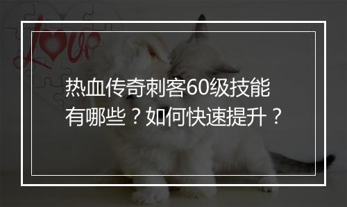 热血传奇刺客60级技能有哪些？如何快速提升？