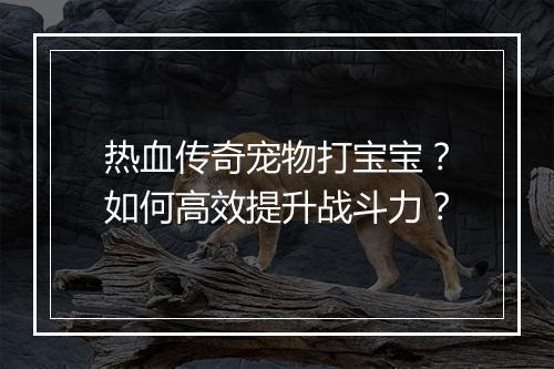热血传奇宠物打宝宝？如何高效提升战斗力？