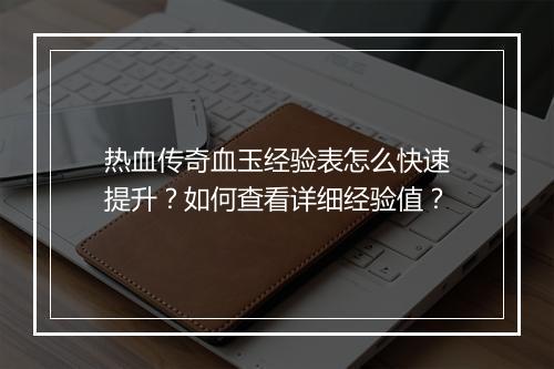 热血传奇血玉经验表怎么快速提升？如何查看详细经验值？