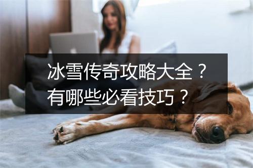 冰雪传奇攻略大全？有哪些必看技巧？