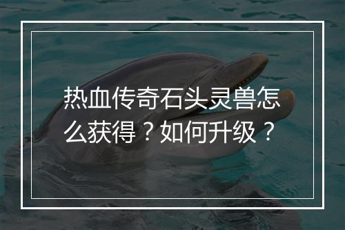 热血传奇石头灵兽怎么获得？如何升级？