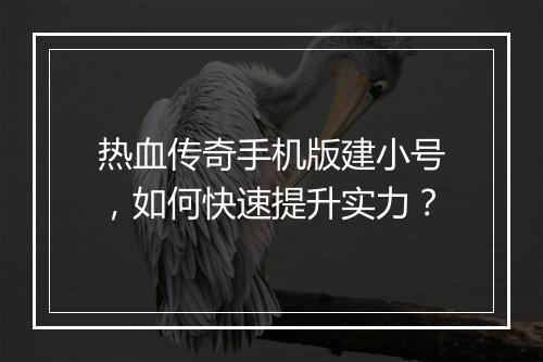 热血传奇手机版建小号，如何快速提升实力？