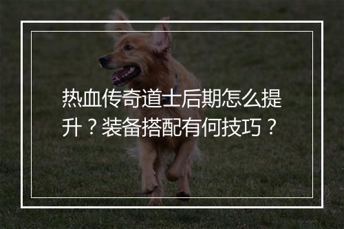 热血传奇道士后期怎么提升？装备搭配有何技巧？