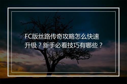 FC版丝路传奇攻略怎么快速升级？新手必看技巧有哪些？