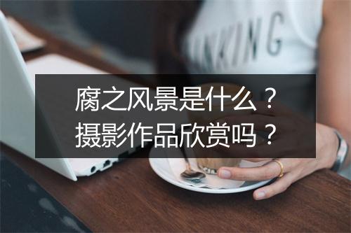 腐之风景是什么？摄影作品欣赏吗？