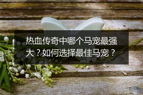 热血传奇中哪个马宠最强大？如何选择最佳马宠？