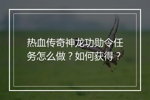 热血传奇神龙功勋令任务怎么做？如何获得？