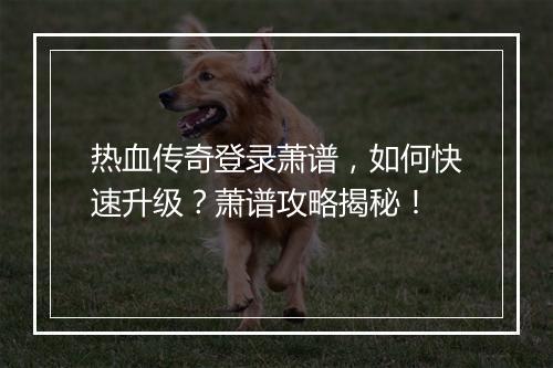 热血传奇登录萧谱，如何快速升级？萧谱攻略揭秘！