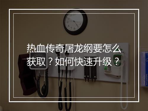 热血传奇屠龙纲要怎么获取？如何快速升级？
