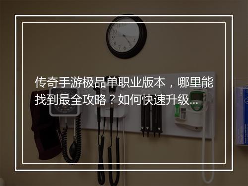 传奇手游极品单职业版本，哪里能找到最全攻略？如何快速升级？