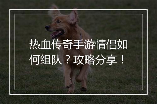 热血传奇手游情侣如何组队？攻略分享！