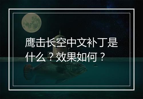鹰击长空中文补丁是什么？效果如何？