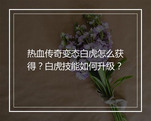 热血传奇变态白虎怎么获得？白虎技能如何升级？