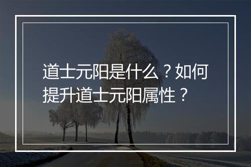 道士元阳是什么？如何提升道士元阳属性？