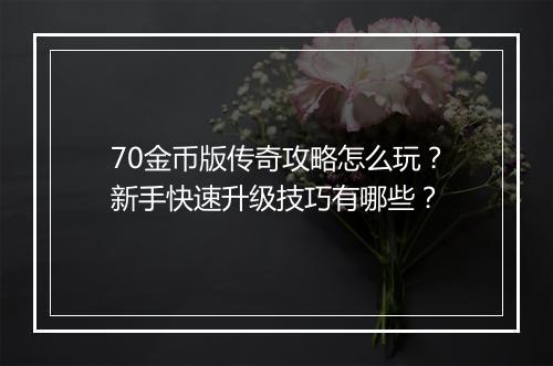 70金币版传奇攻略怎么玩？新手快速升级技巧有哪些？