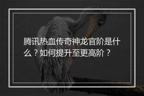 腾讯热血传奇神龙官阶是什么？如何提升至更高阶？
