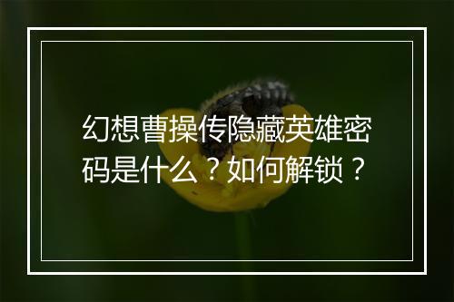 幻想曹操传隐藏英雄密码是什么？如何解锁？