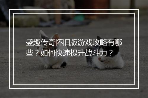 盛趣传奇怀旧版游戏攻略有哪些？如何快速提升战斗力？
