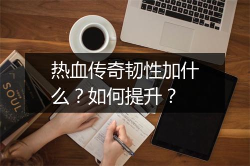 热血传奇韧性加什么？如何提升？