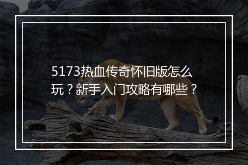 5173热血传奇怀旧版怎么玩？新手入门攻略有哪些？