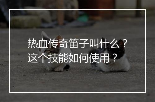 热血传奇笛子叫什么？这个技能如何使用？