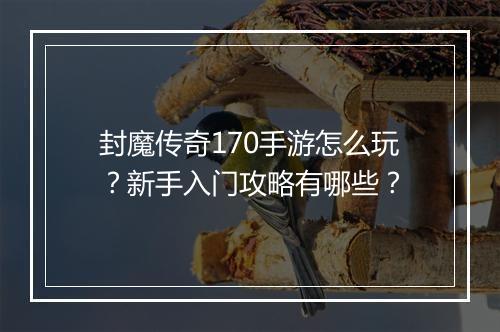 封魔传奇170手游怎么玩？新手入门攻略有哪些？