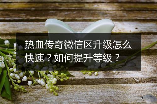 热血传奇微信区升级怎么快速？如何提升等级？