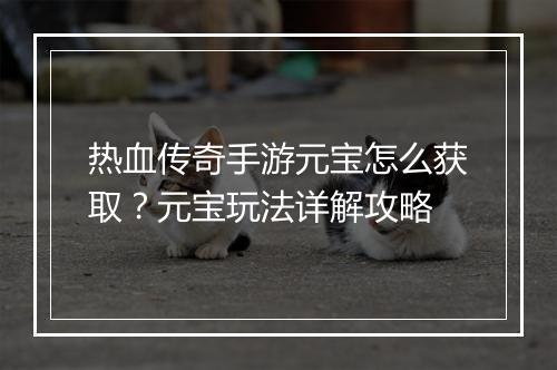热血传奇手游元宝怎么获取？元宝玩法详解攻略