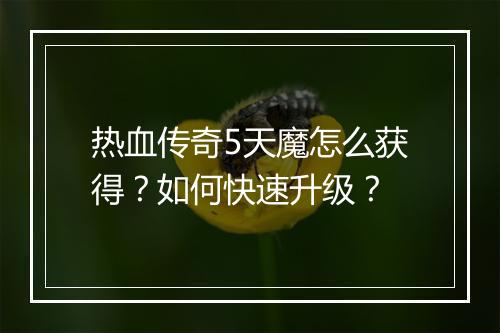 热血传奇5天魔怎么获得？如何快速升级？