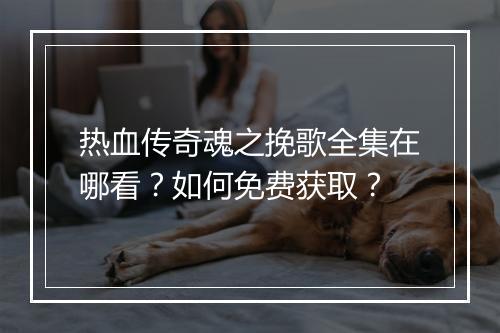 热血传奇魂之挽歌全集在哪看？如何免费获取？