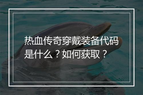 热血传奇穿戴装备代码是什么？如何获取？