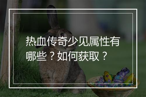 热血传奇少见属性有哪些？如何获取？
