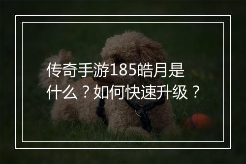 传奇手游185皓月是什么？如何快速升级？
