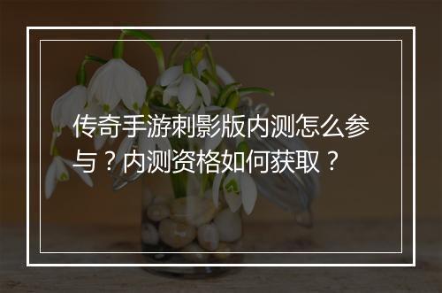 传奇手游刺影版内测怎么参与？内测资格如何获取？