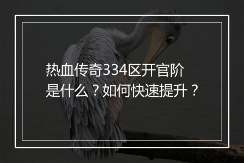 热血传奇334区开官阶是什么？如何快速提升？