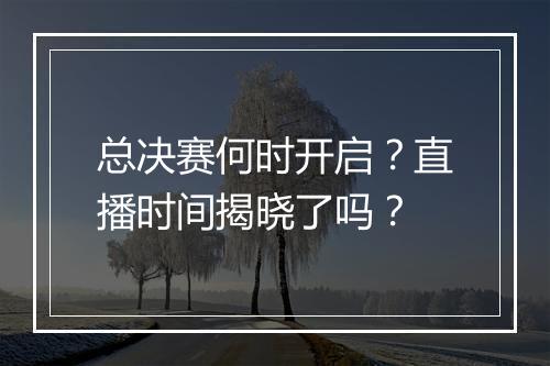 总决赛何时开启？直播时间揭晓了吗？