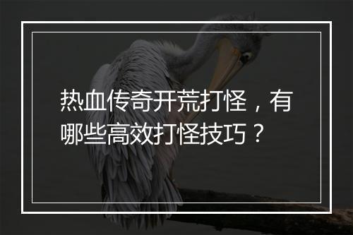 热血传奇开荒打怪，有哪些高效打怪技巧？