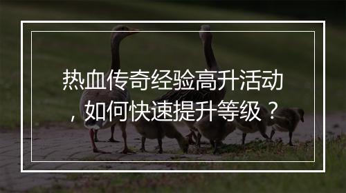 热血传奇经验高升活动，如何快速提升等级？