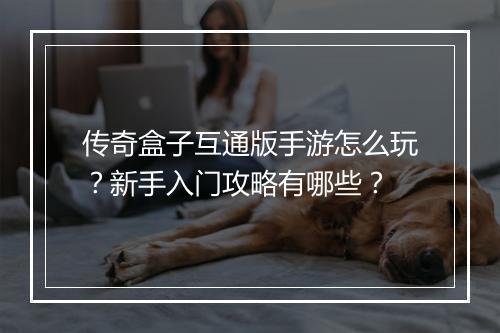传奇盒子互通版手游怎么玩？新手入门攻略有哪些？