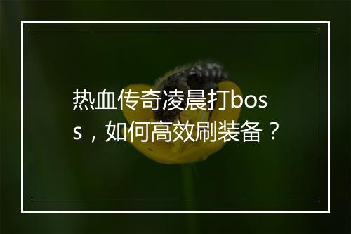 热血传奇凌晨打boss，如何高效刷装备？